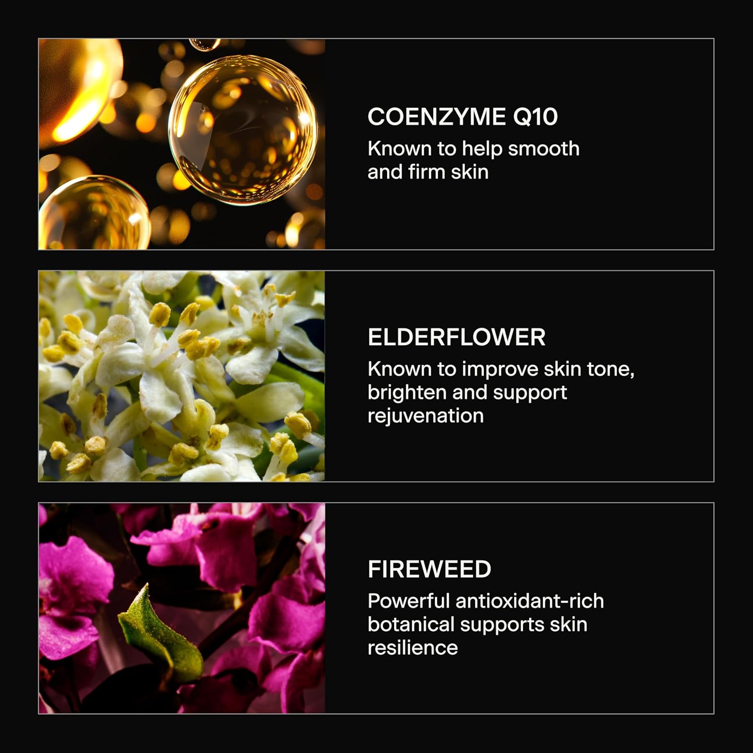 Everyday Hydrate and Restore Facial Serum